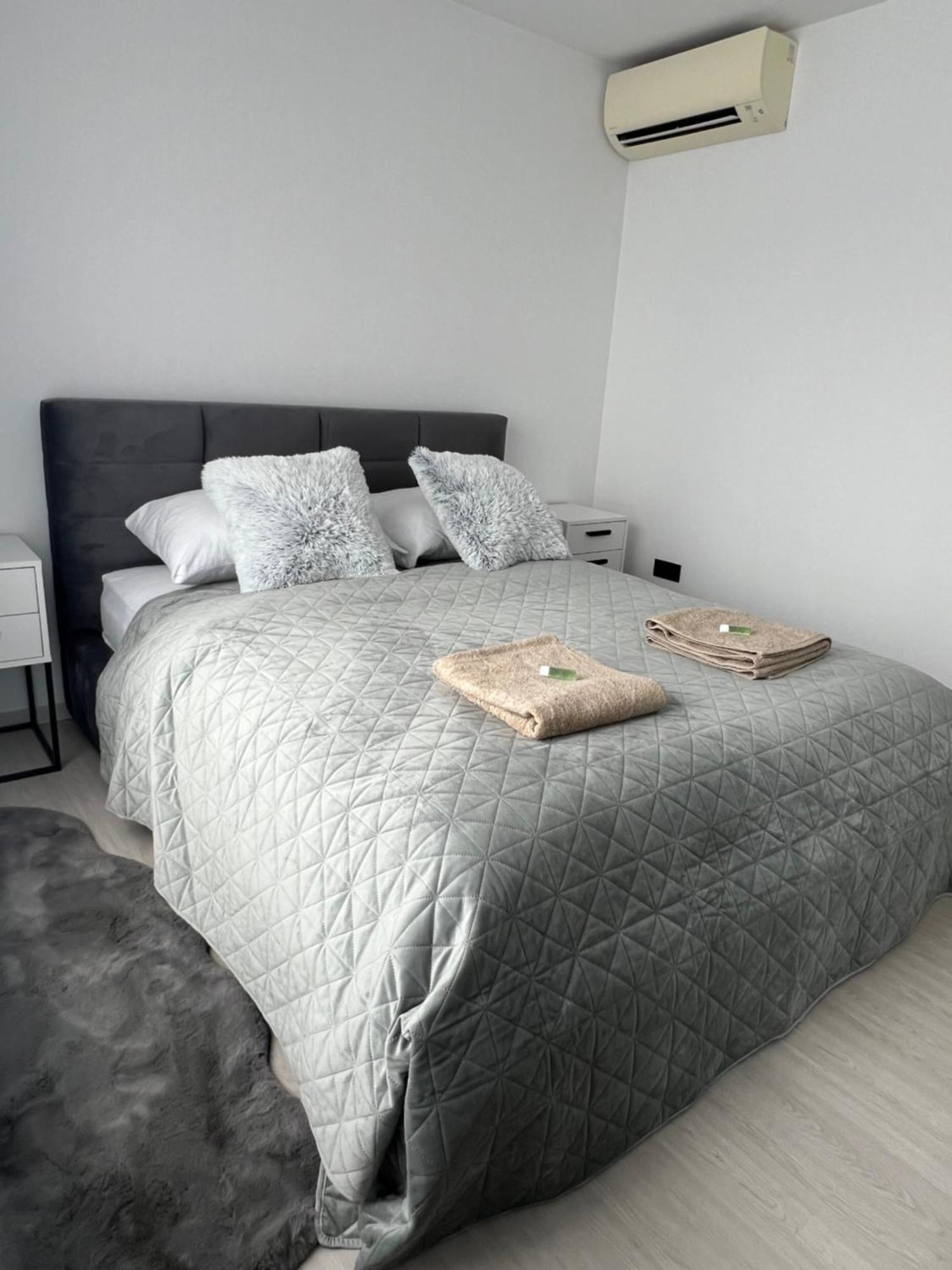 Skau Piano Family & Business Apartment Free Parking 布拉迪斯拉发 外观 照片