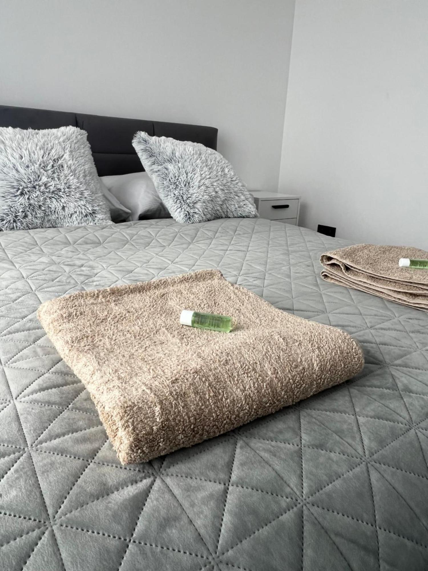 Skau Piano Family & Business Apartment Free Parking 布拉迪斯拉发 外观 照片